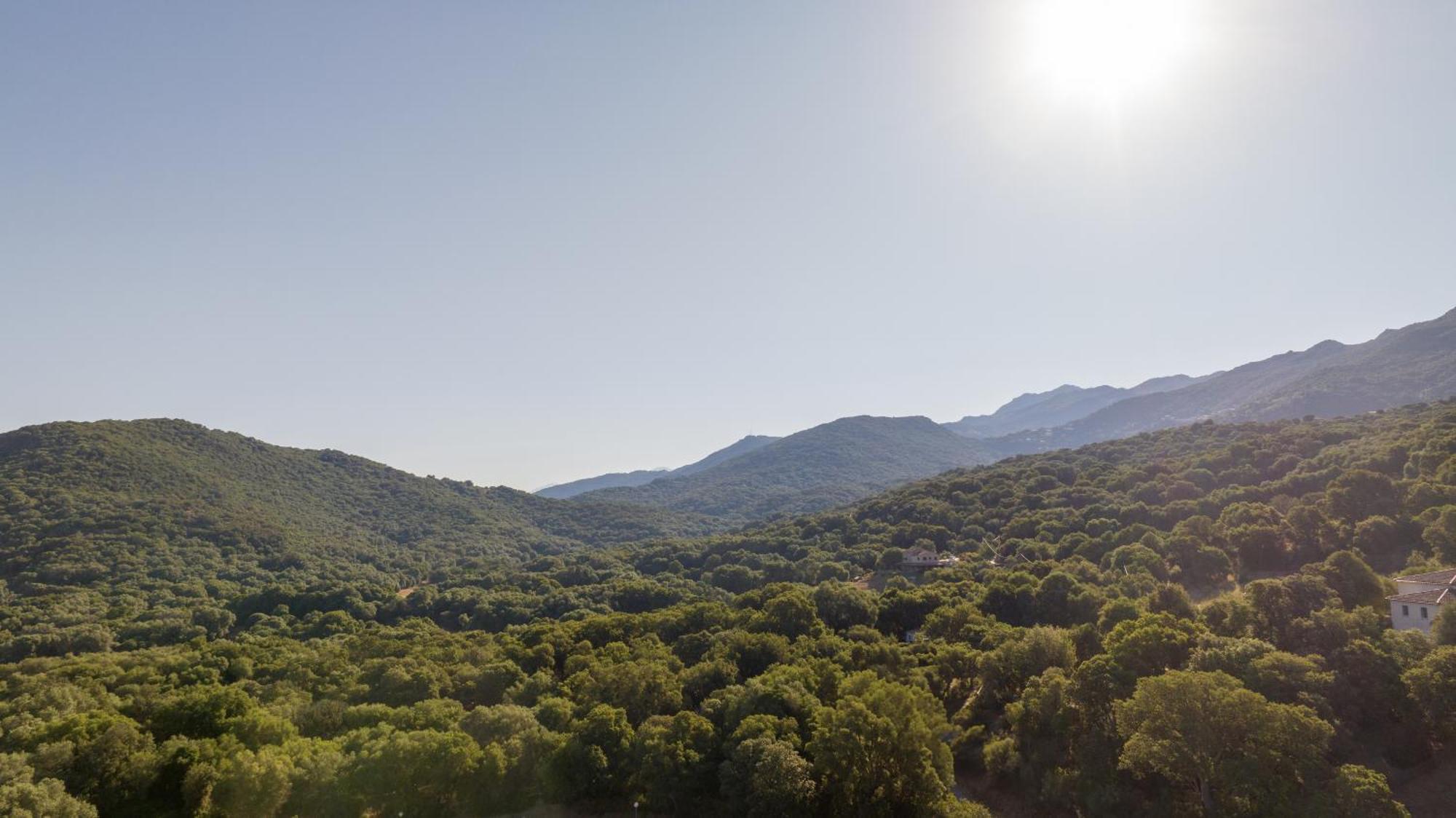 Appartamento Casa Lea Sollacaro Esterno foto