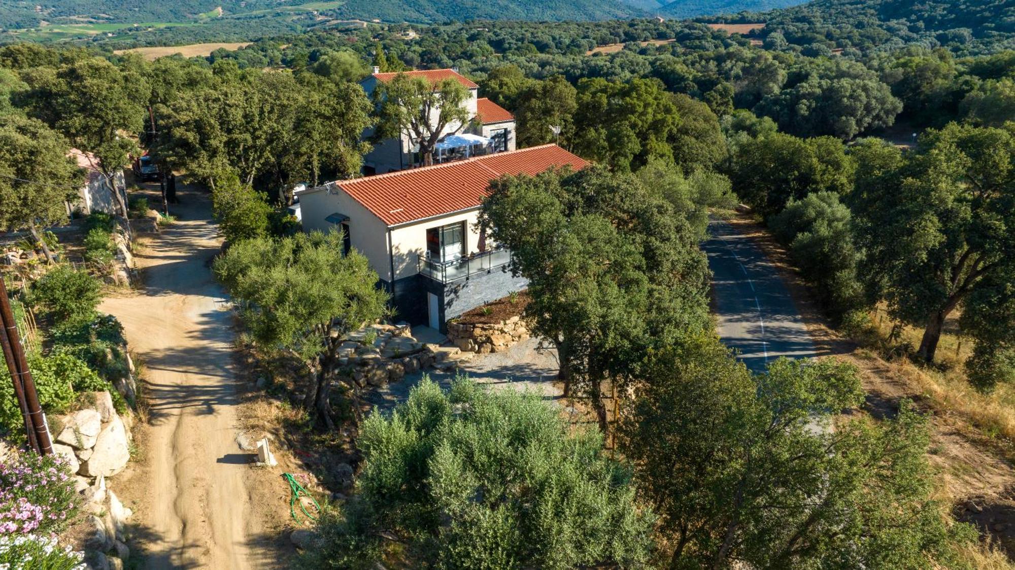 Appartamento Casa Lea Sollacaro Esterno foto